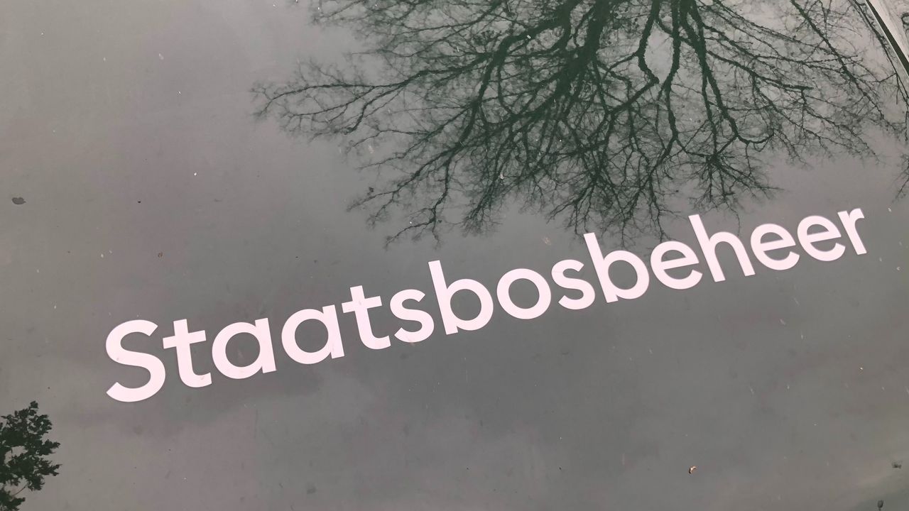 (foto: Willem-Jan Joachems)