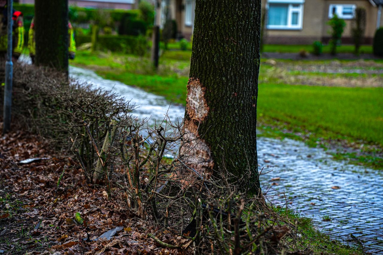 Foto: Erik Haverhals/SQ Vision. 