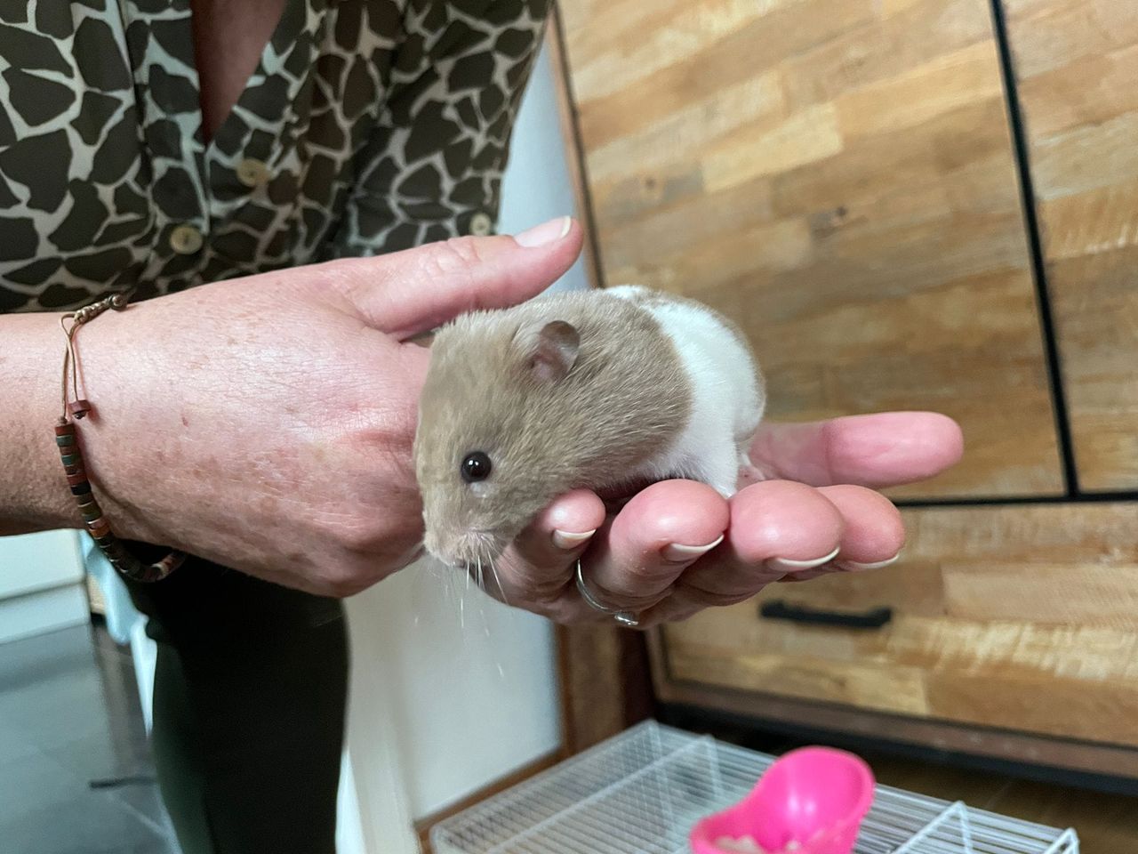 Puck bij z'n nieuwe baasje (foto: Rene van Hoof).