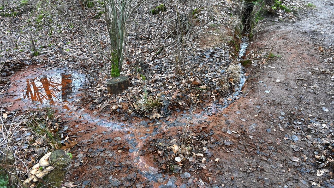 Op zoek naar de natuurlijke waterbron (foto: Natuurvereniging IVN Grave).