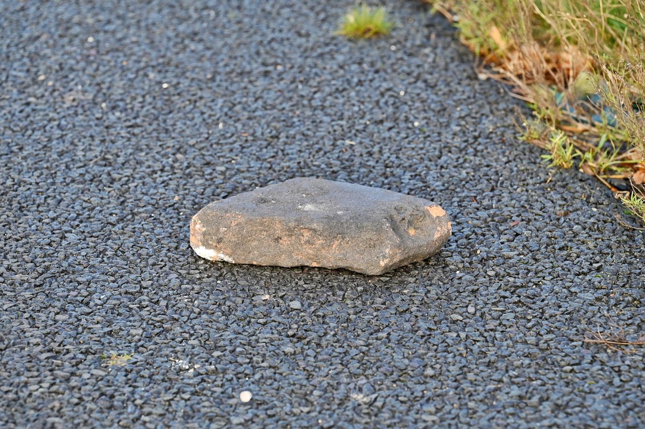 Foto: Toby de Kort/SQ Vision.