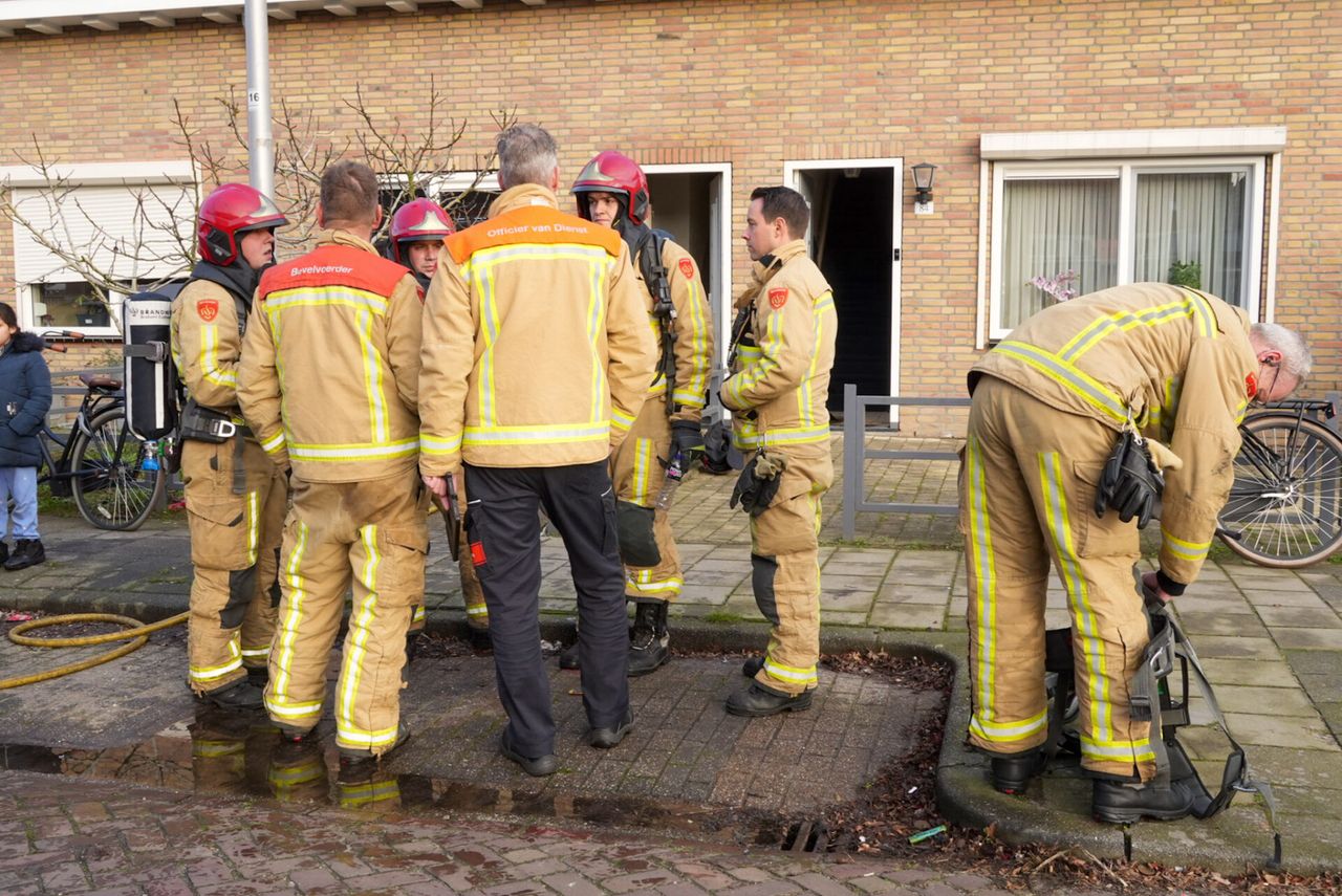 Foto: Harrie Grijseels/SQ VIsion