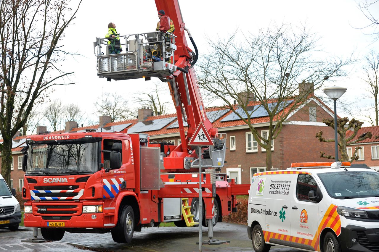 Foto: Perry Roovers/SQ Vision