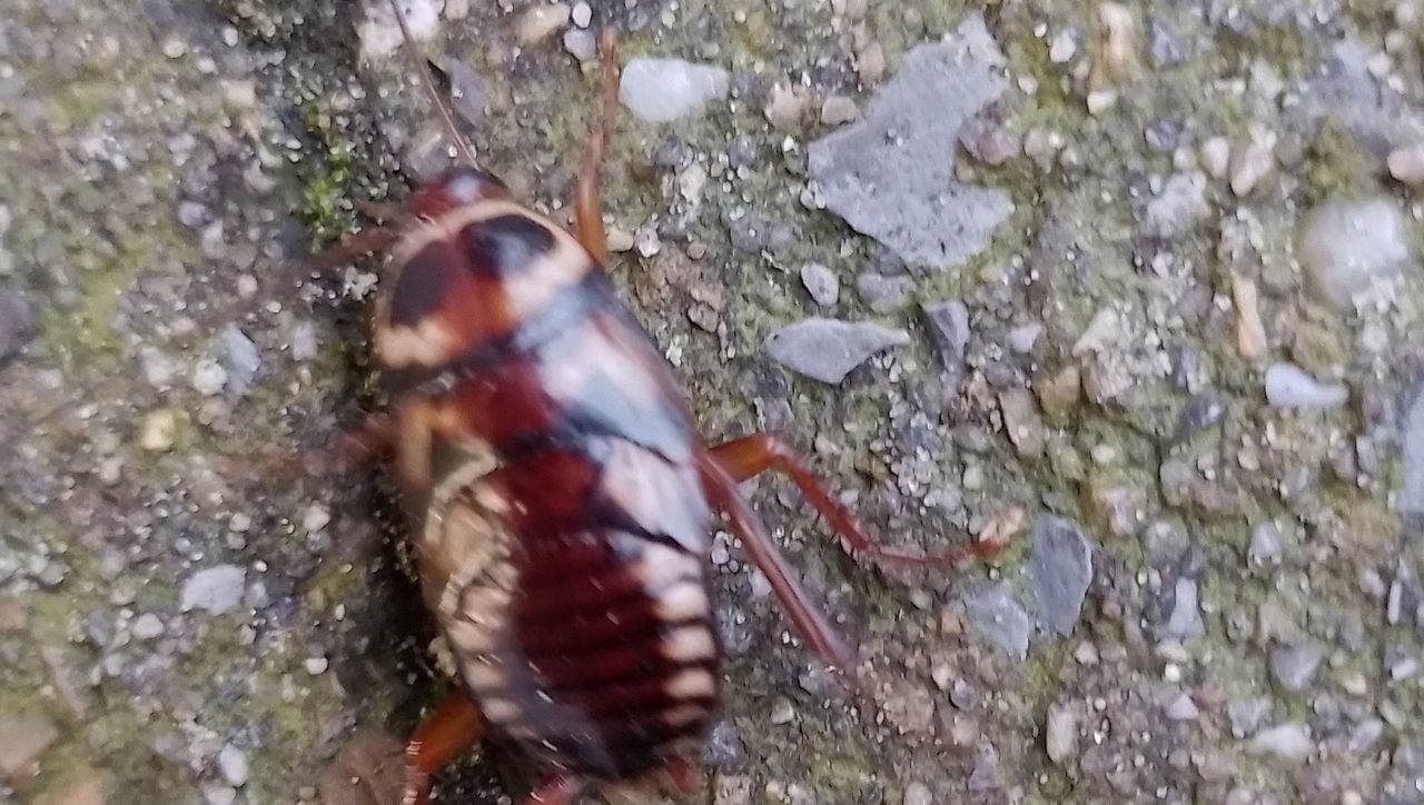 Monique wilde weten wat dit is (foto: Monique Ariëns).