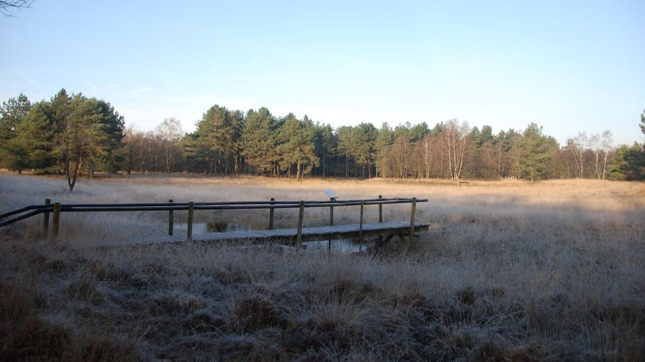 Winterwandelen in Odiliapeel (foto: IVN Uden).