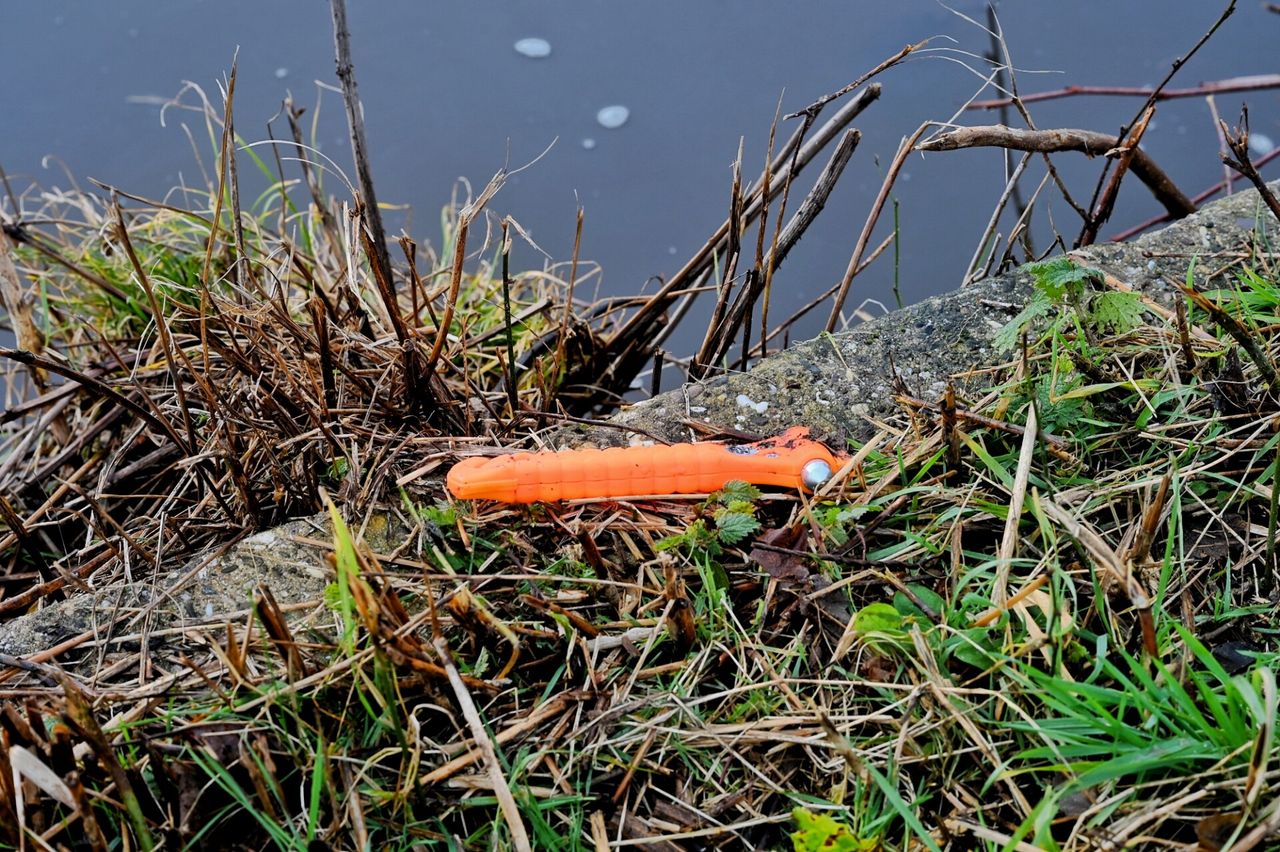 De veiligheidshamer (foto: Toby de Kort/SQ Vision).