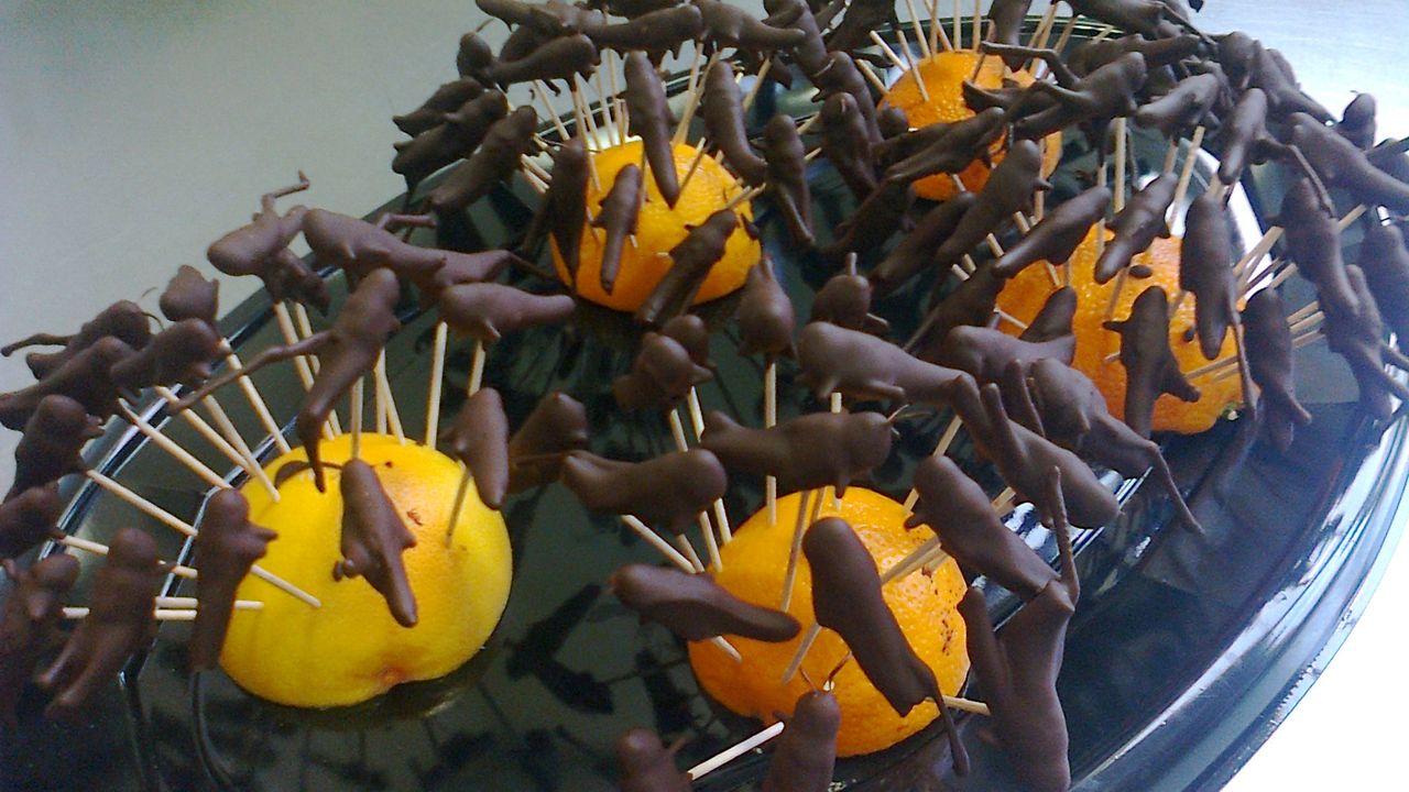 Chocoladesprinkhanen op een stokje (Foto: Wereldzaak).