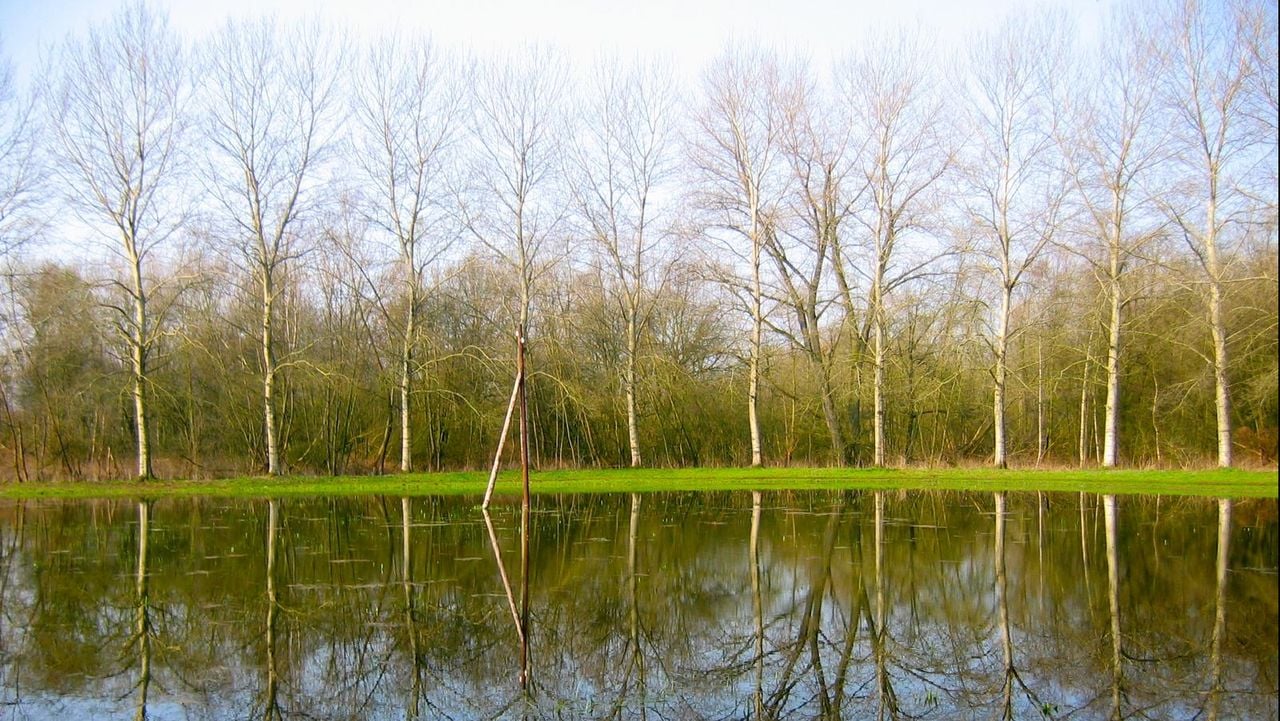 Het weiland van Boer Kuijpers onder water in 2012 (foto: Anouk Lambregts).