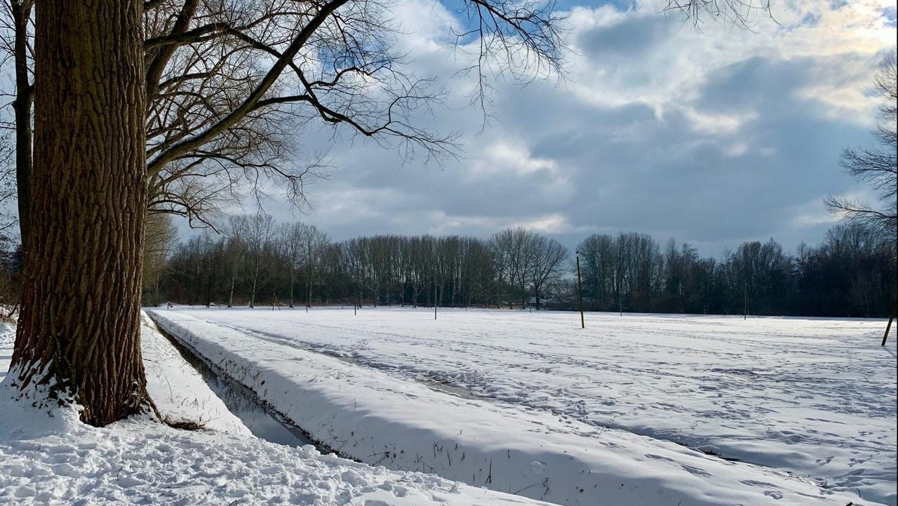 Boer Kuijpers in 2021 (foto: Anouk Lambregts).