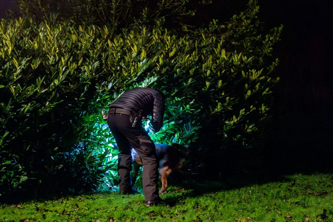 Foto: Jurgen Versteeg / SQ Vision