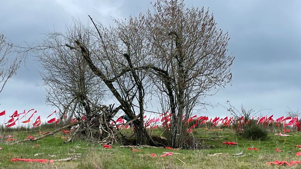 Een eerder project met rode vlaggen voor de vrede (Foto: Jean-Paul de Vries)