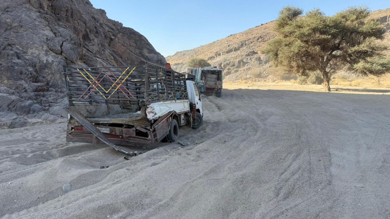 Hoe het met de bestuurder gaat, is niet bekend.