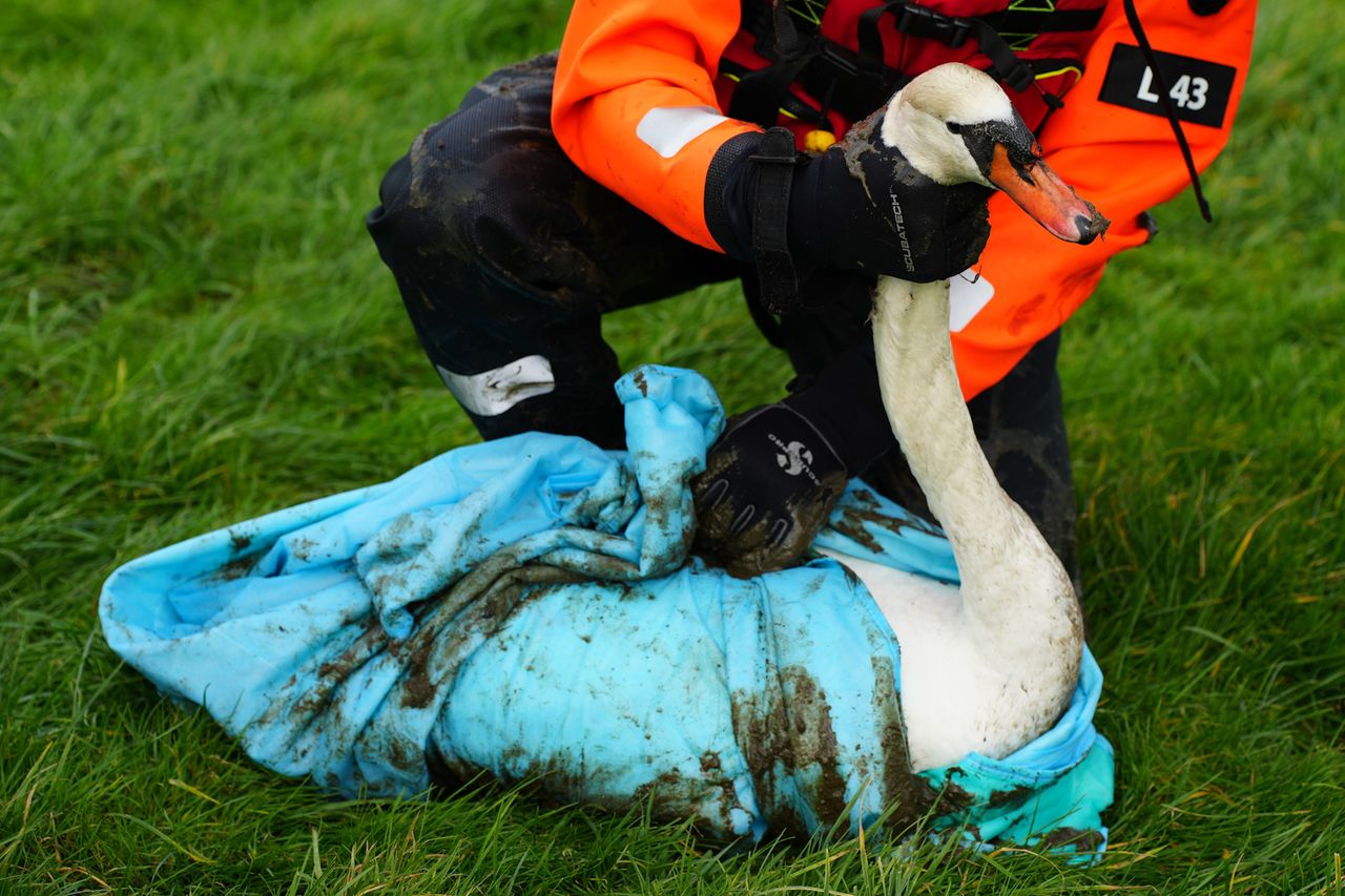 Foto: FPMB Erik Haverhals 