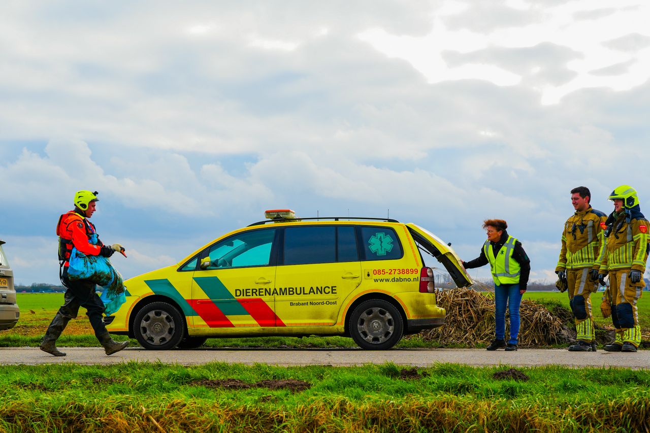 Foto: FPMB Erik Haverhals 