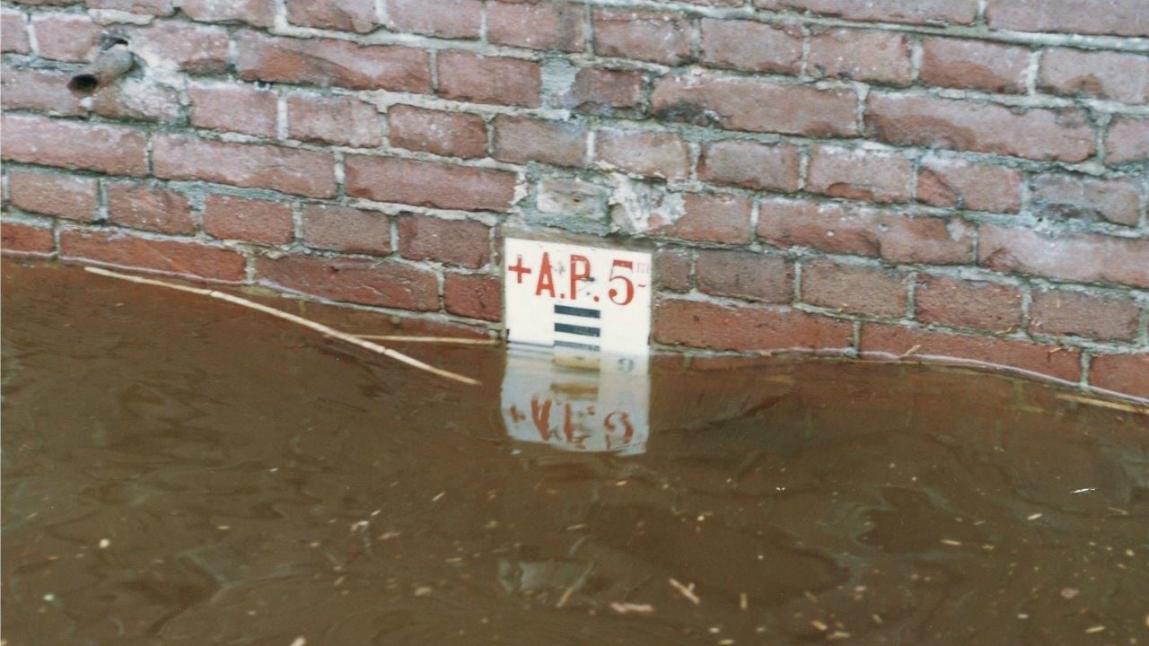 Foto: Henk van Esch.