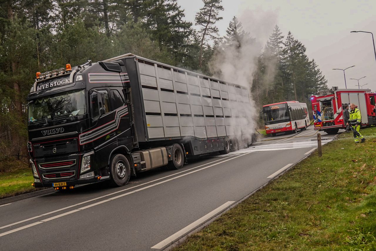 Foto: Harrie Grijseels/SQ Vision.