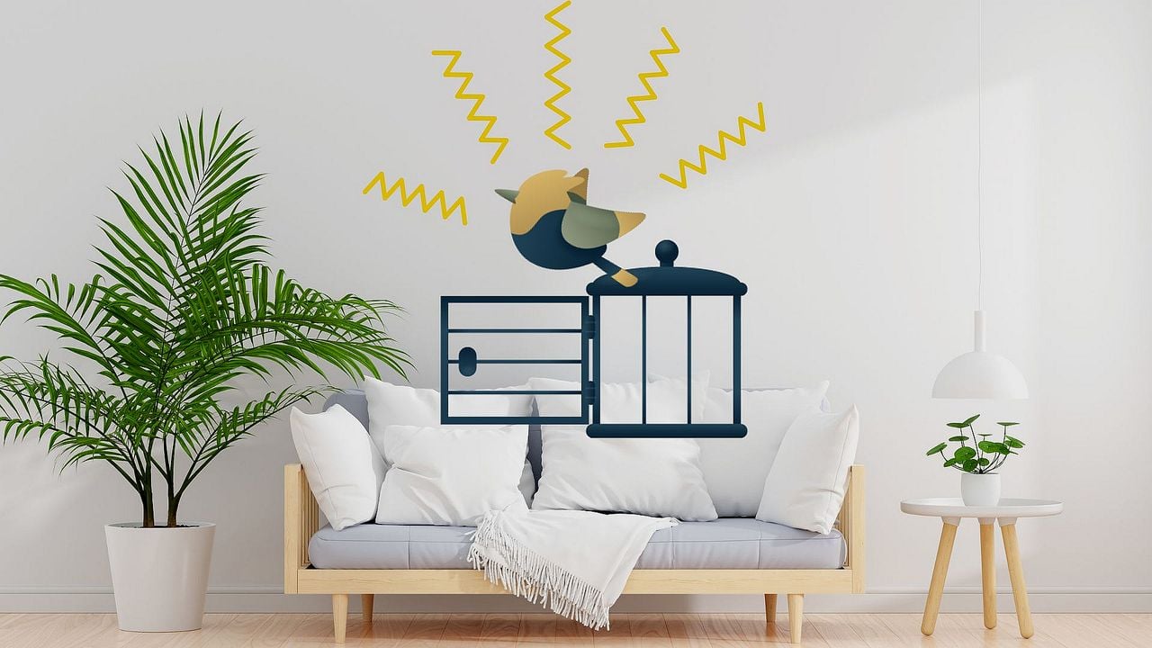 De vogel vliegt weg uit het kooitje (foto: Hulan).