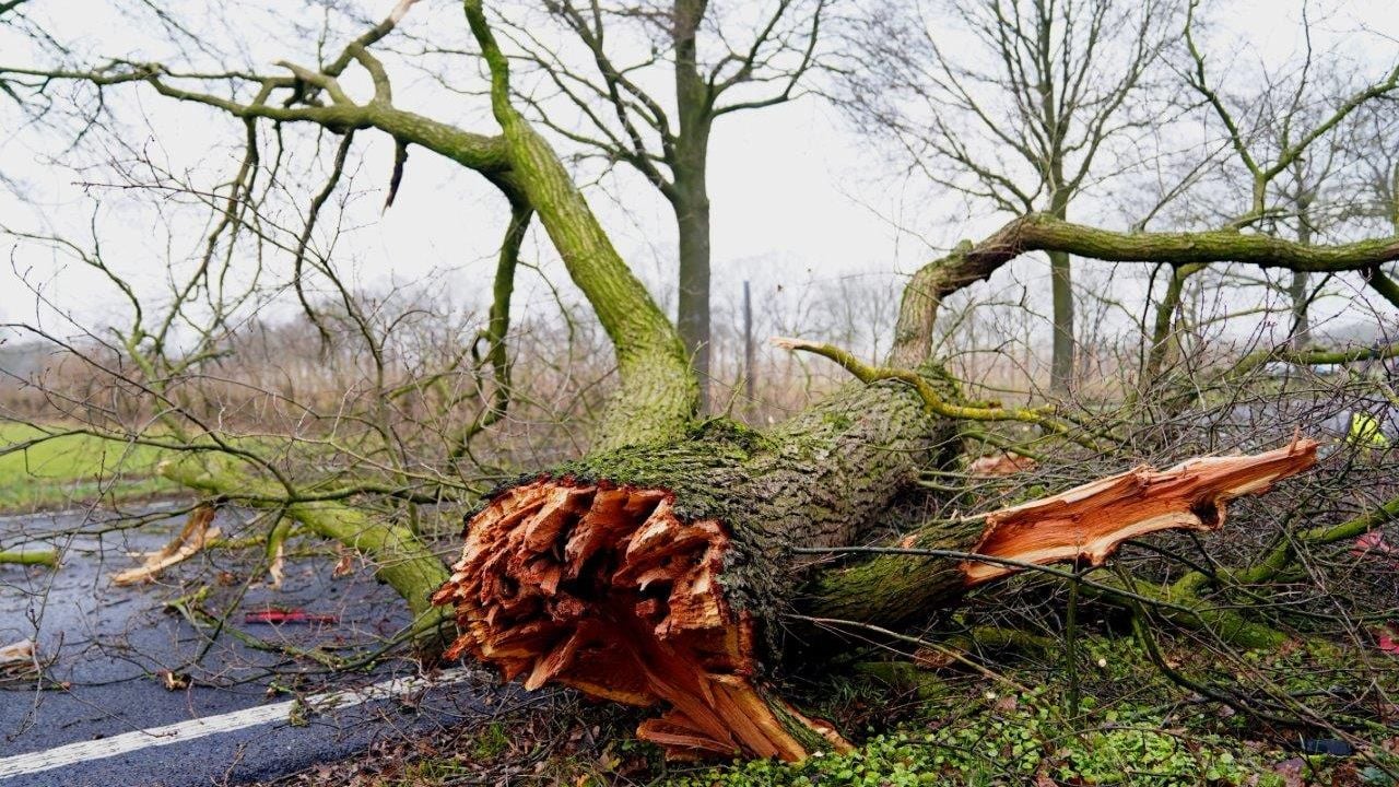 Foto: Bart Meesters/SQ Vision.