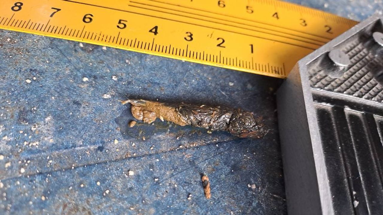 Wie heeft op deze voederplaat gepoept? (foto: Martina Osteried)