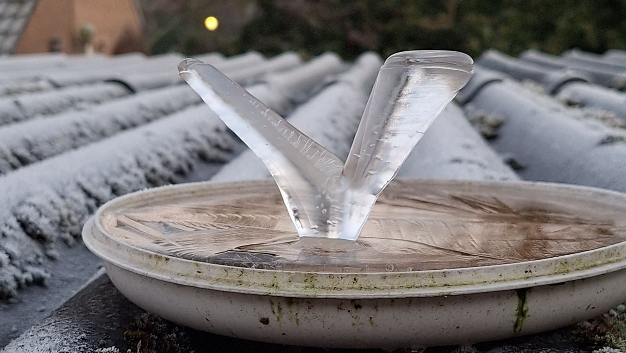 Een ijsnaald in een drinkbak (foto: Jan en Jet Eltink)