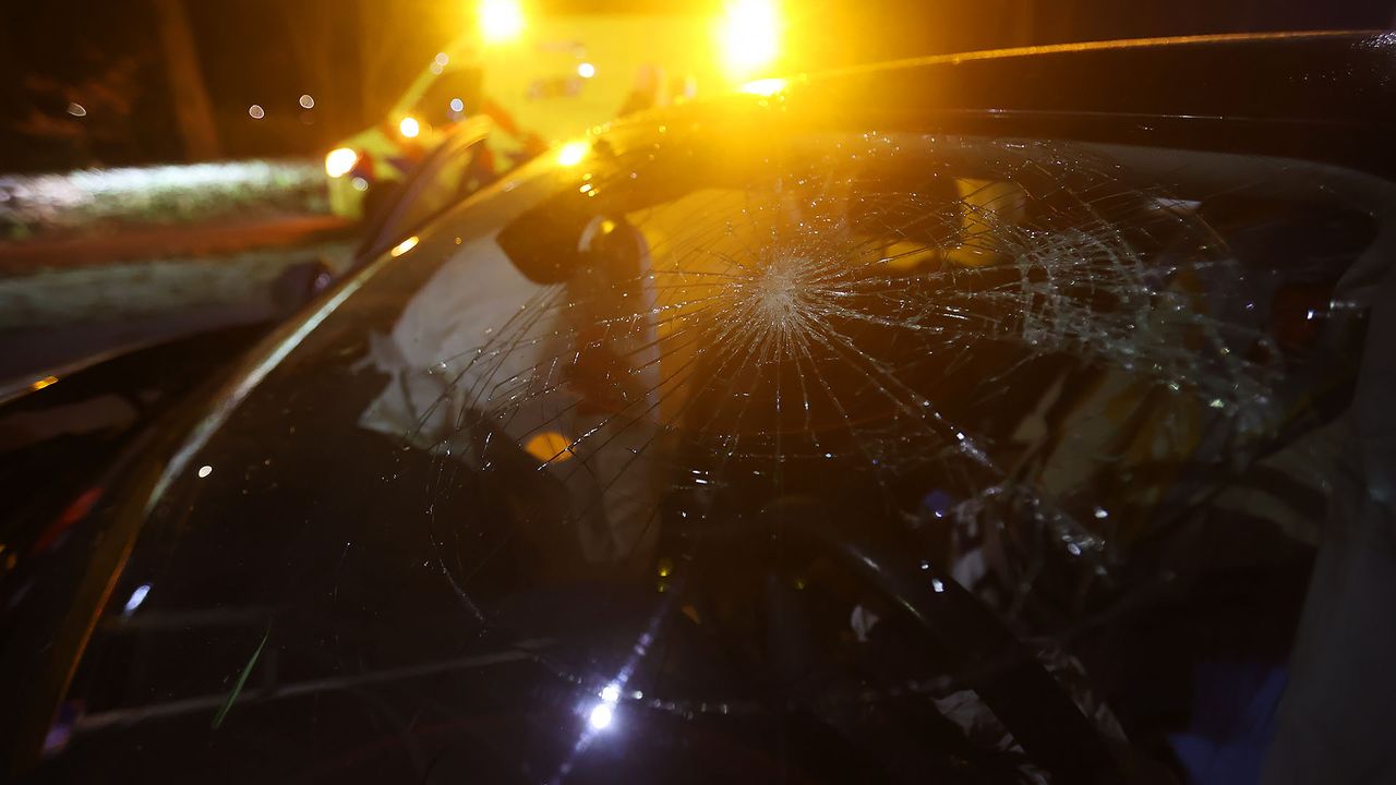 Foto: Arno van der Linden/SQ Vision.