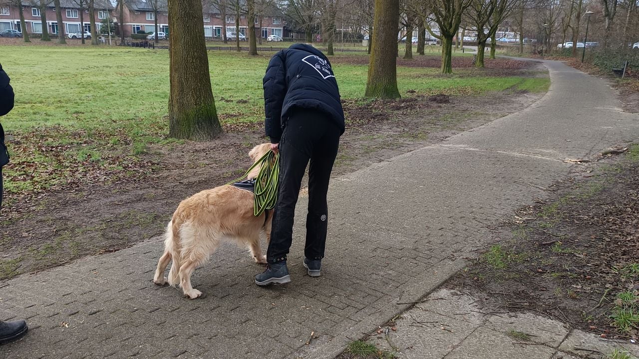 Een speurhond zocht naar sporen van hondje Bailey (eigen foto).