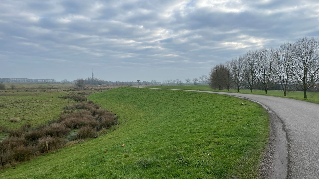 Dijklandschap bij Megen (foto: René van Hoof).