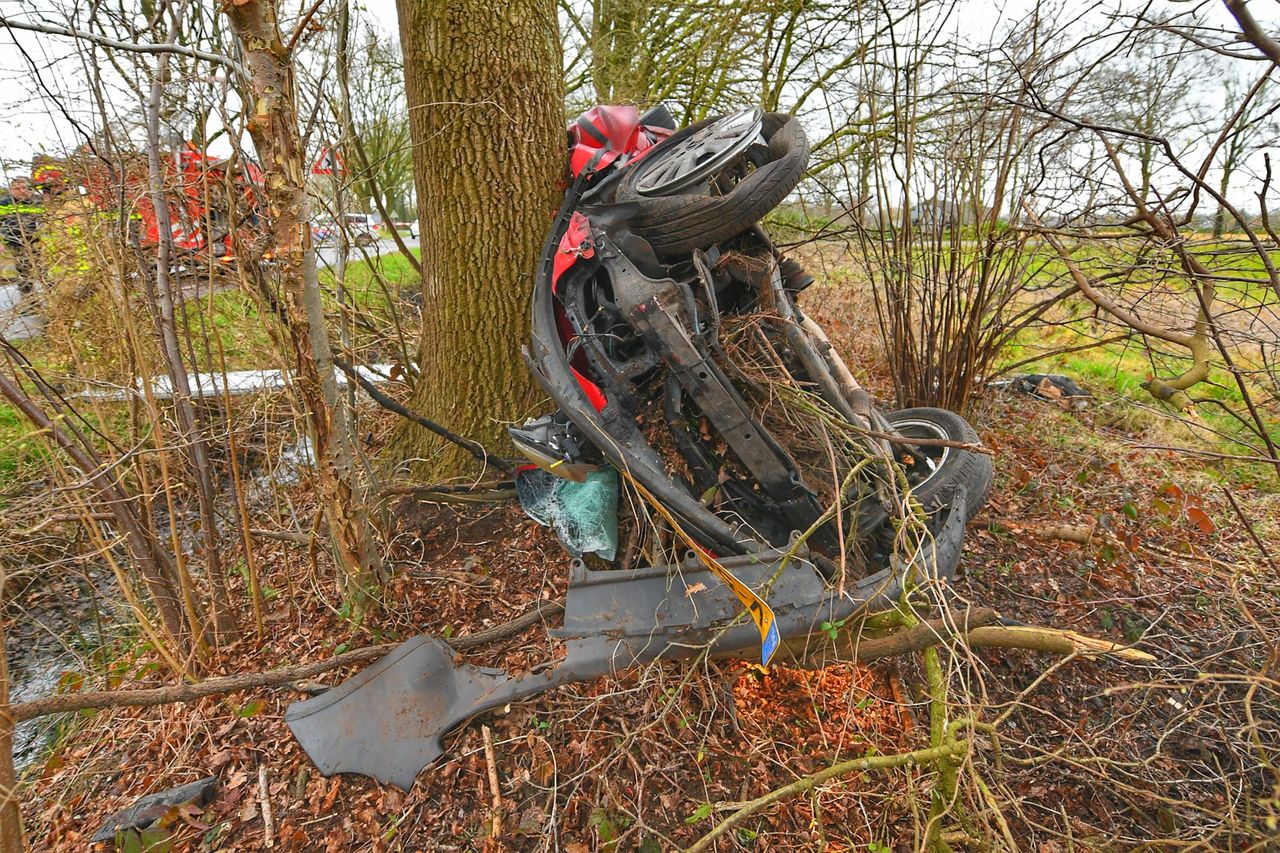 Foto: Rico Vogels / SQ Vision 