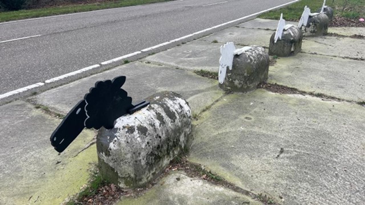 Er is er altijd eentje het zwarte schaap (foto: Studio040).