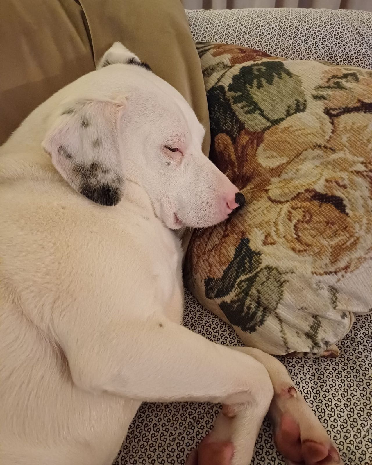 Welterusten (foto: DOC Breda).