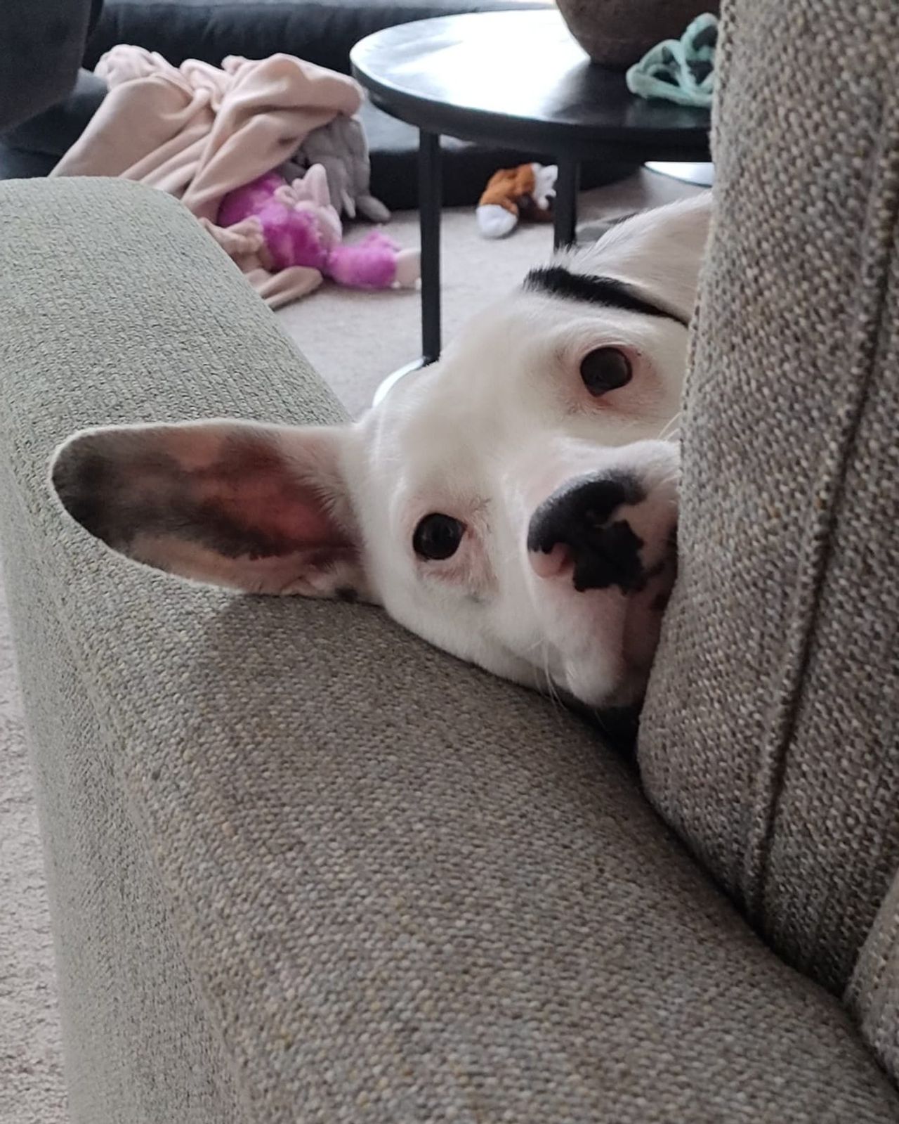 De nieuwe chill-plek van Pimmetje (foto: DOC Breda).