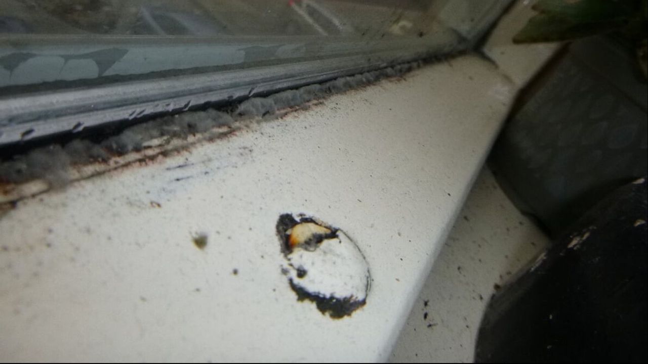 Foto: Omroep Brabant