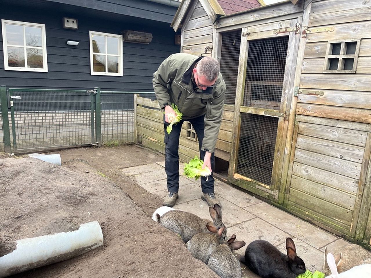 Dierenvriend Mark voert de konijnen (foto: Omroep Brabant).