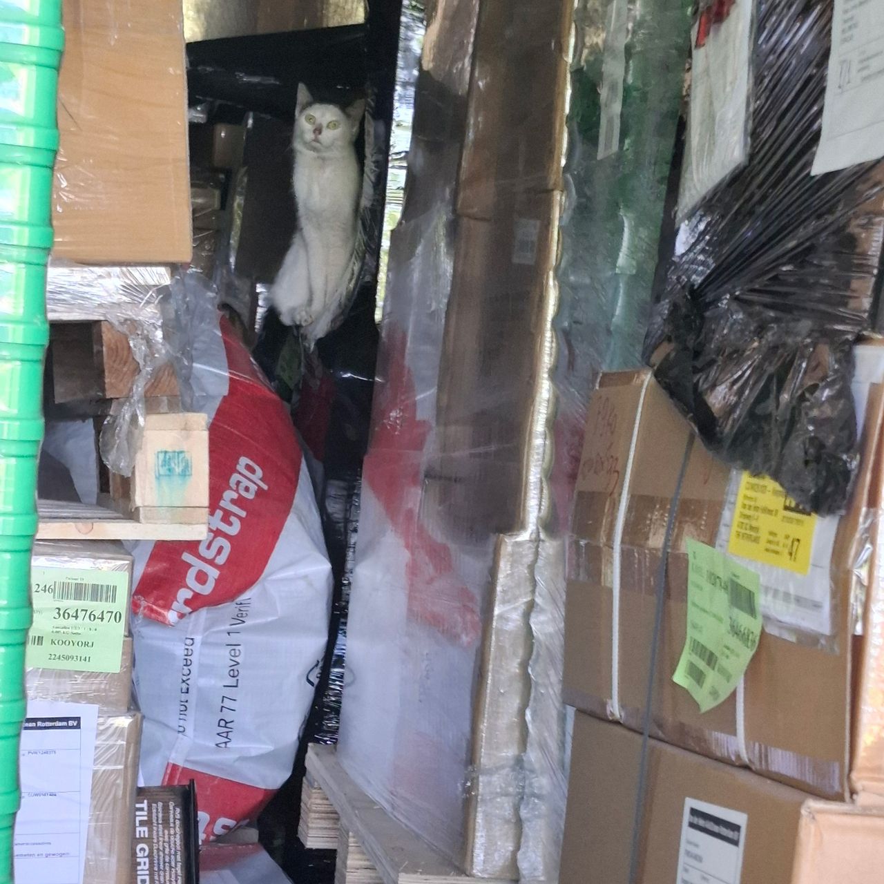 De container waarin de kat de oceaan is overgestoken (Foto: Stichting Kitten Rescue Curaçao / Facebook).