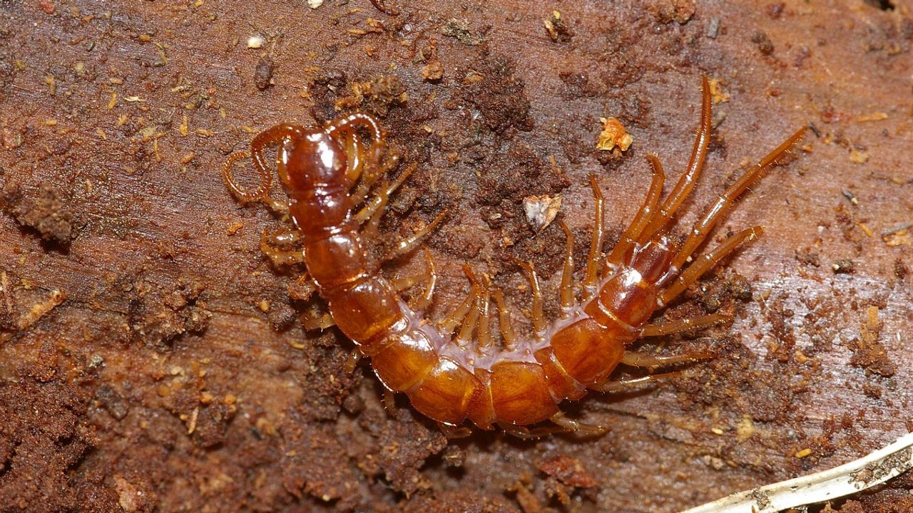 Foto: Sytske Dijksen