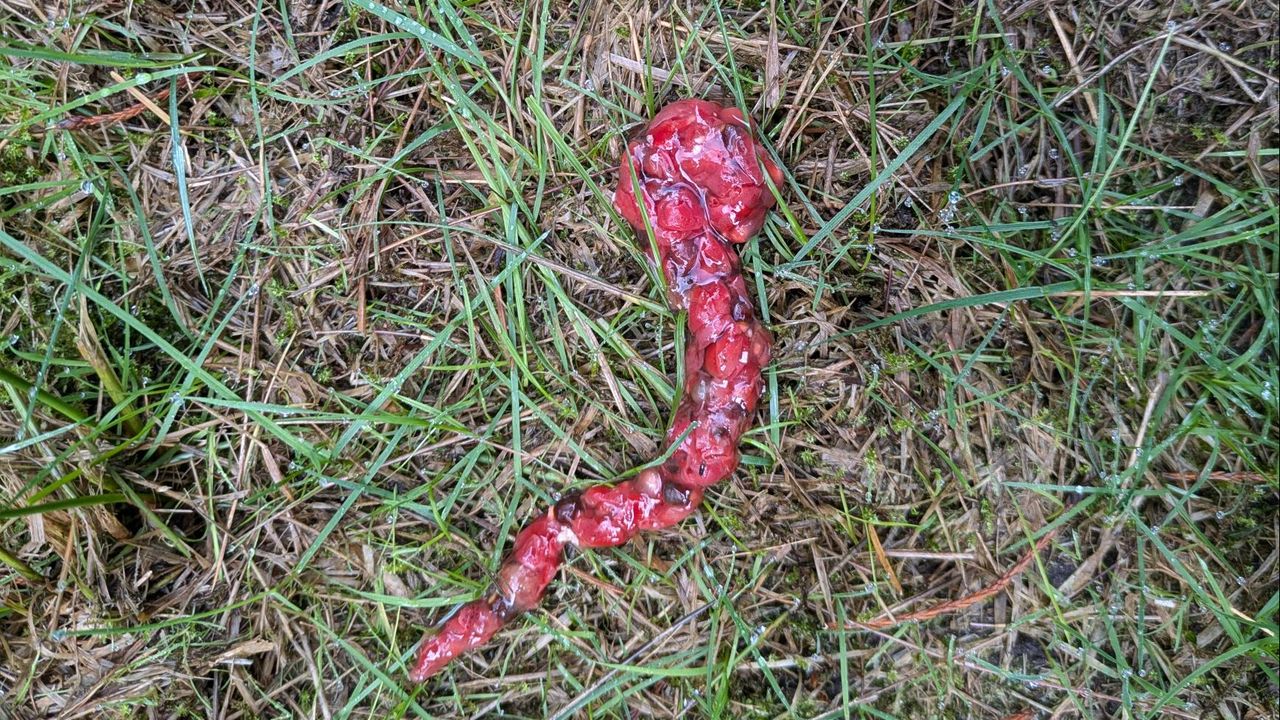 Foto: Lotte Hendrikx