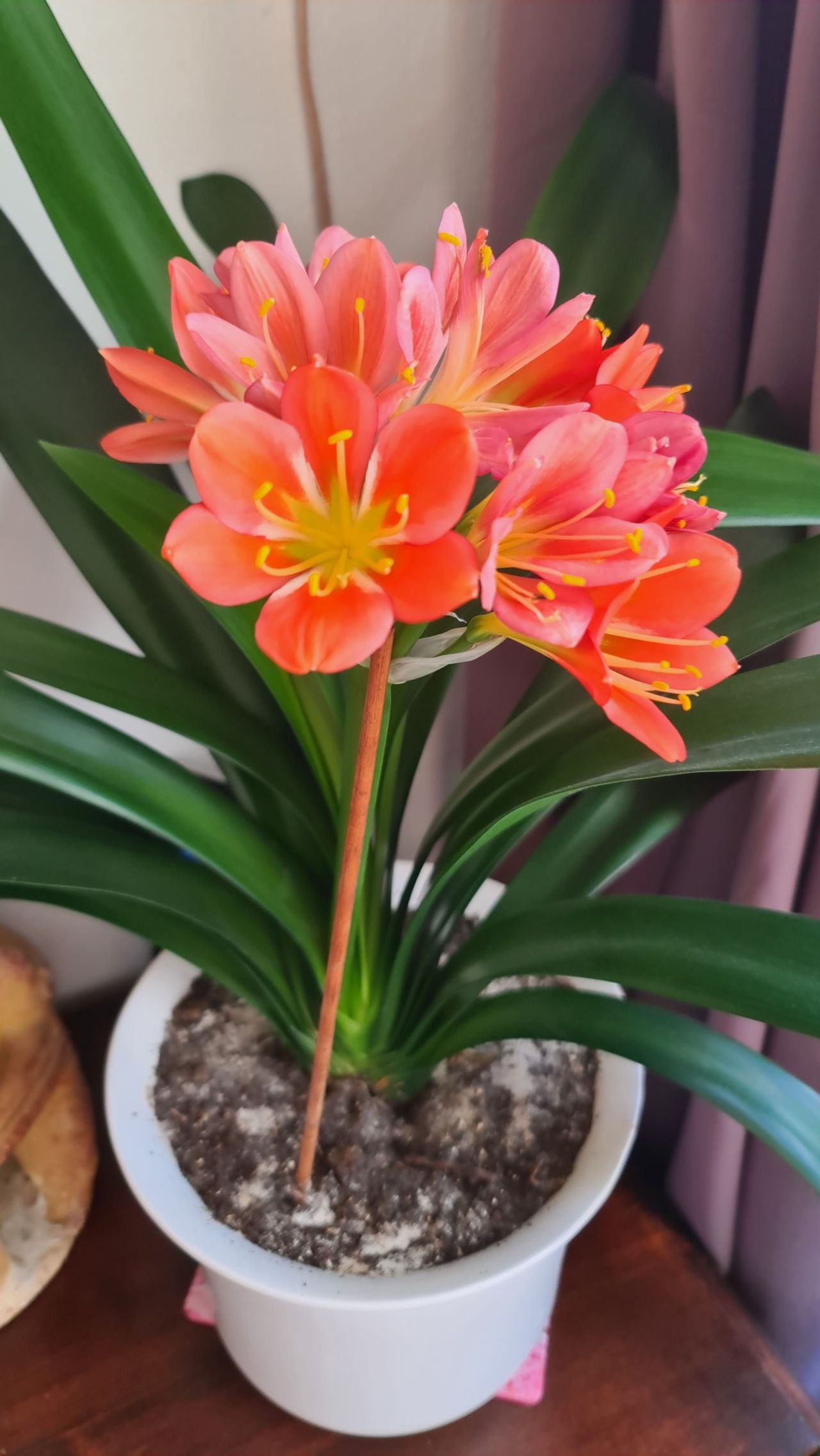 Foto: Lenny via Facebook