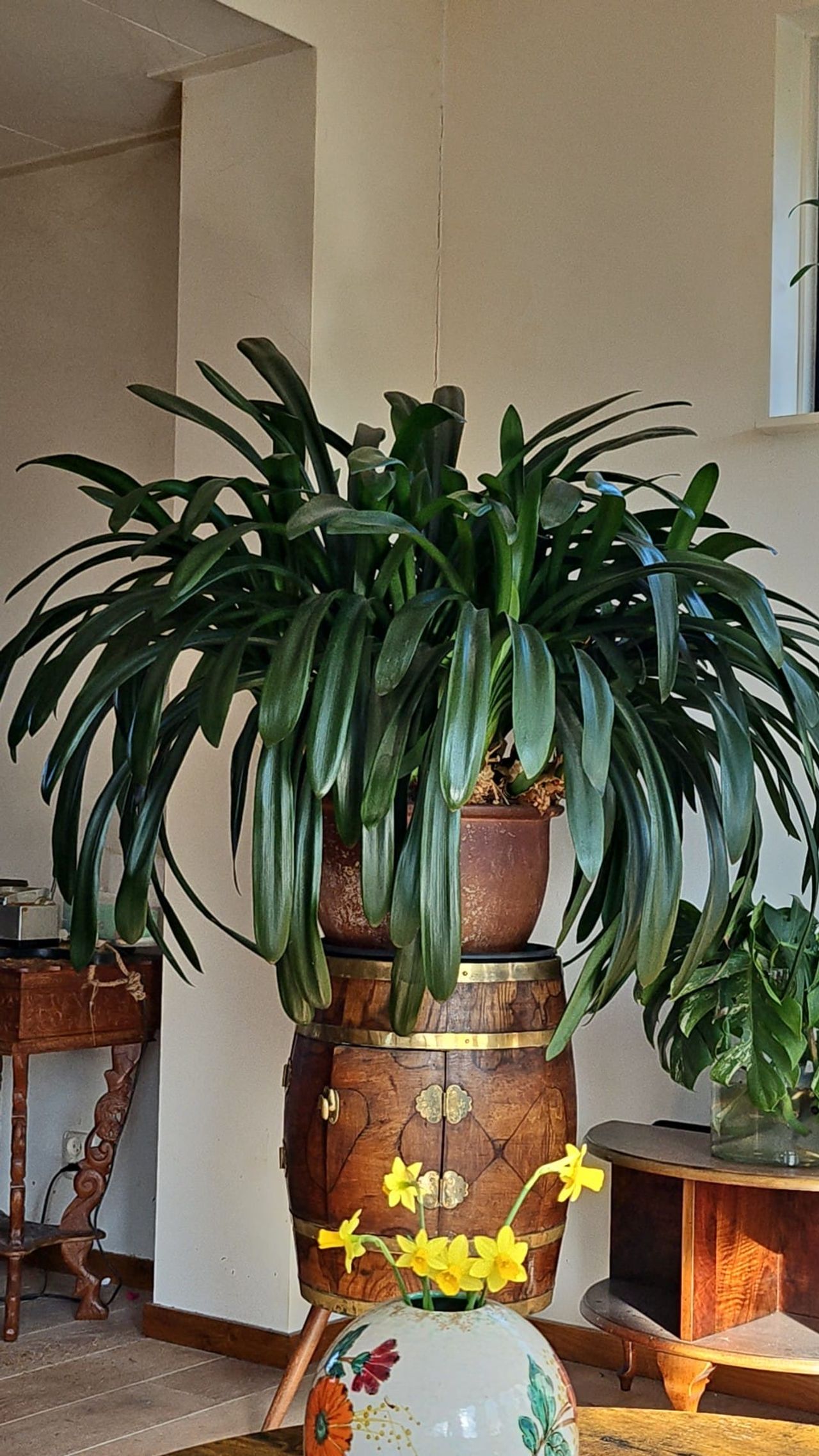 Foto: Jannetta via Facebook