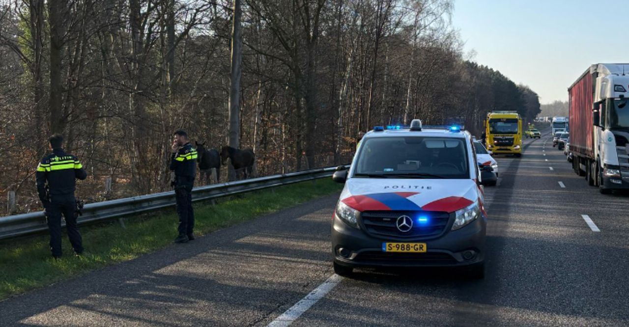 Foto: Rijkswaterstaat Verkeersinformatie/X.