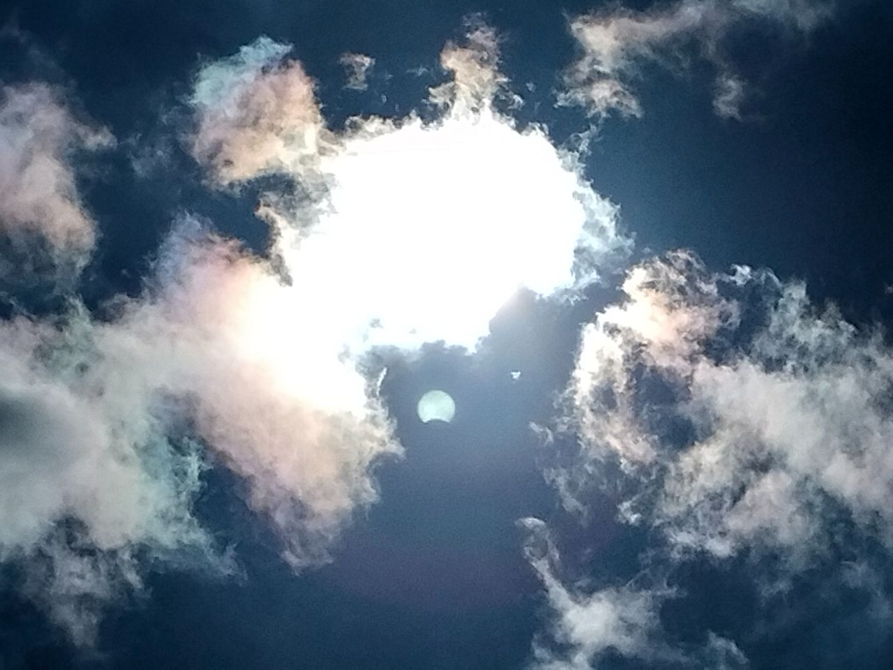 Foto: Tonny Knapp in Veghel