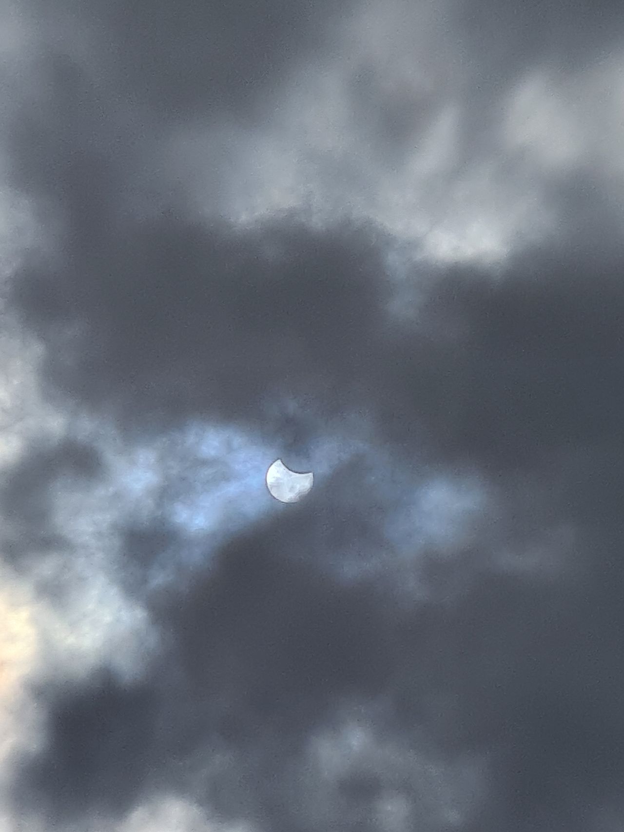 Foto: Amy Kieboom in Rosmalen