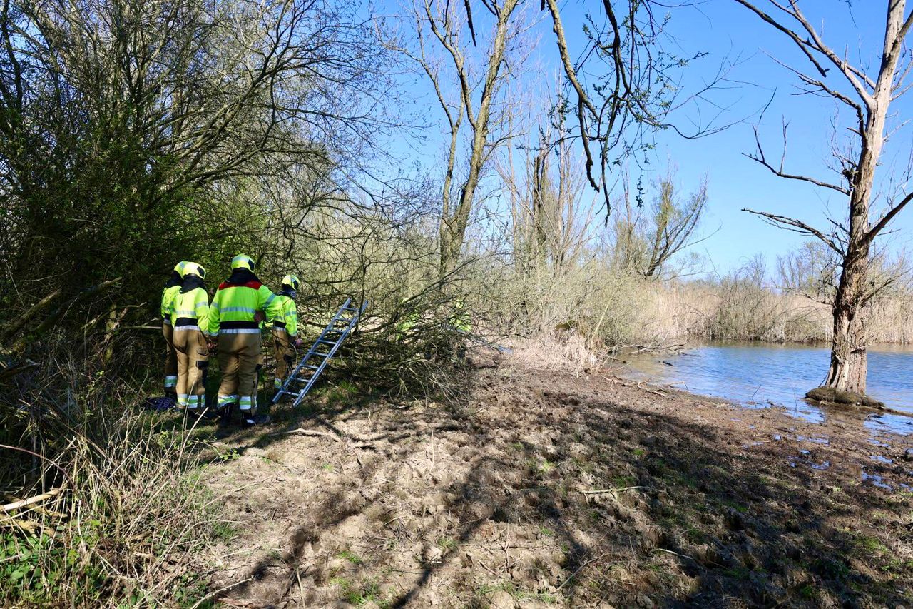 Foto: Persbureau Heitink