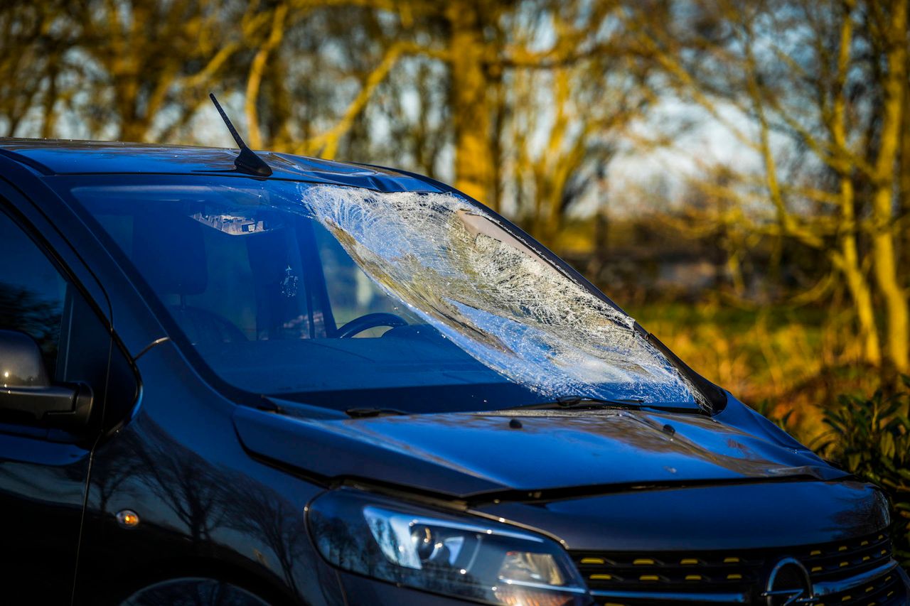 Foto: Persbureau Heitink.