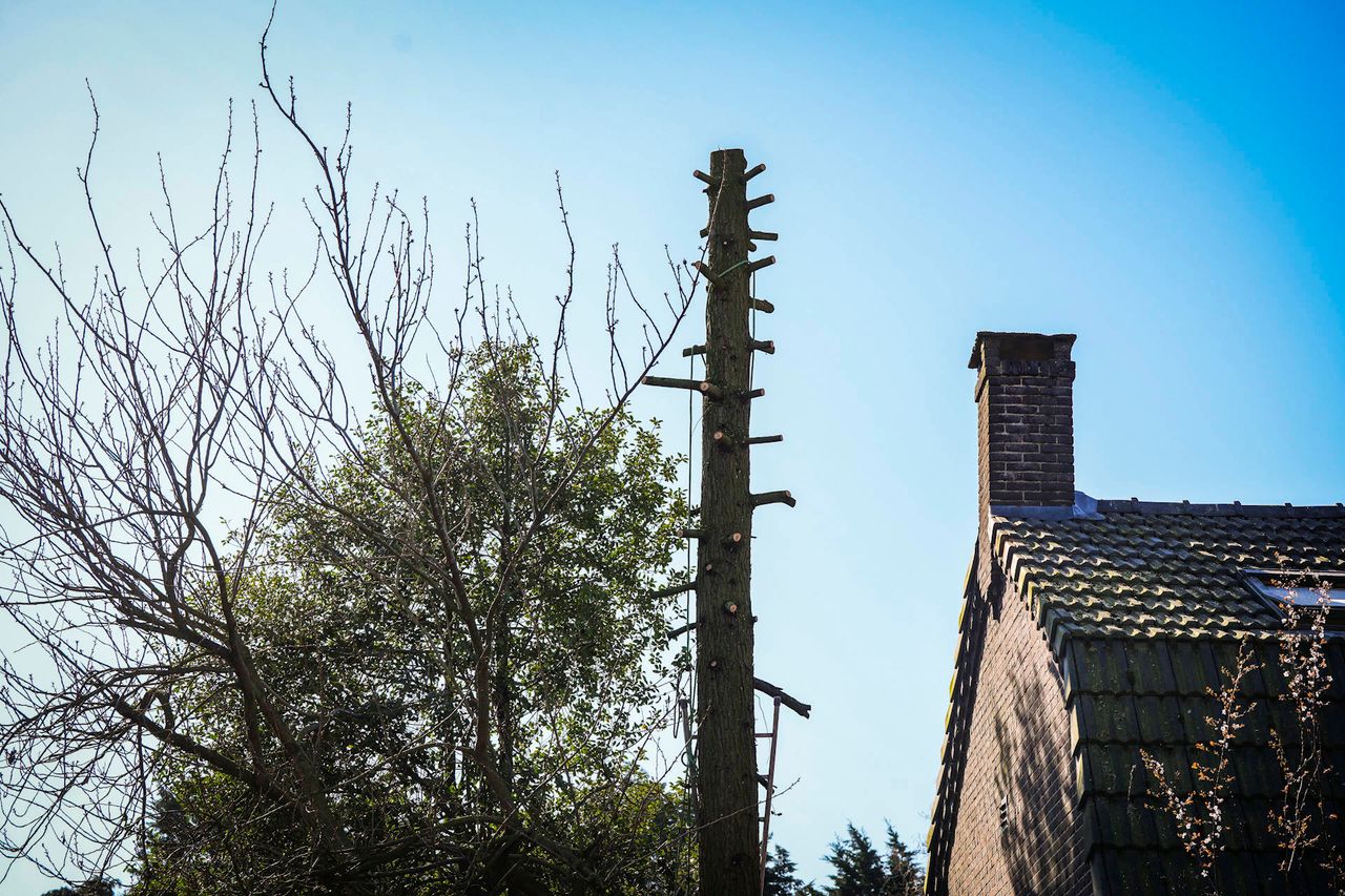 Foto: Persbureau Heitink.