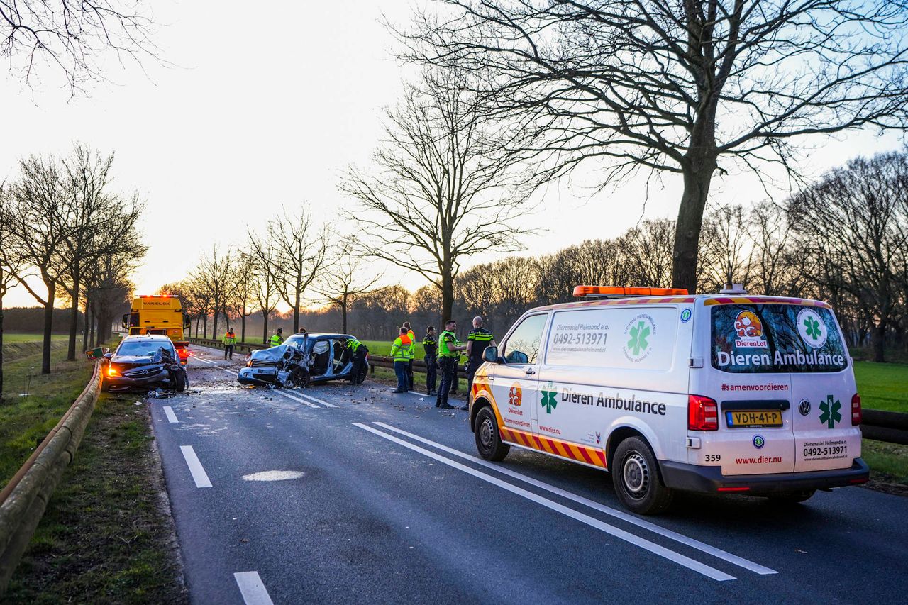 Foto: Persbureau Heitink.