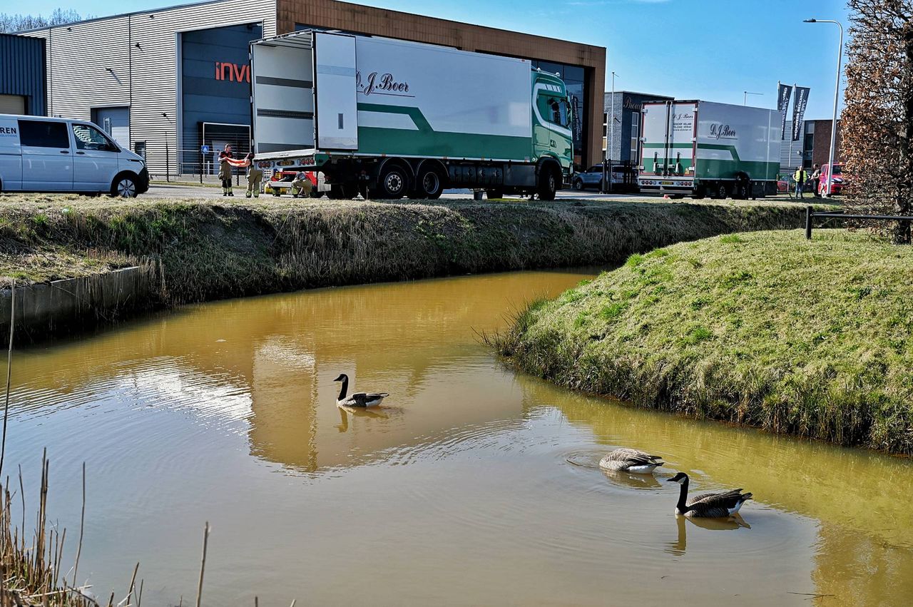 Foto: Toby de Kort / Persbureau Heitink