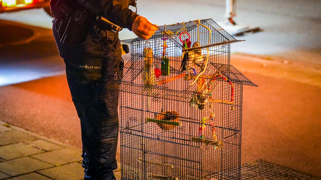 Foto: Persbureau Heitink