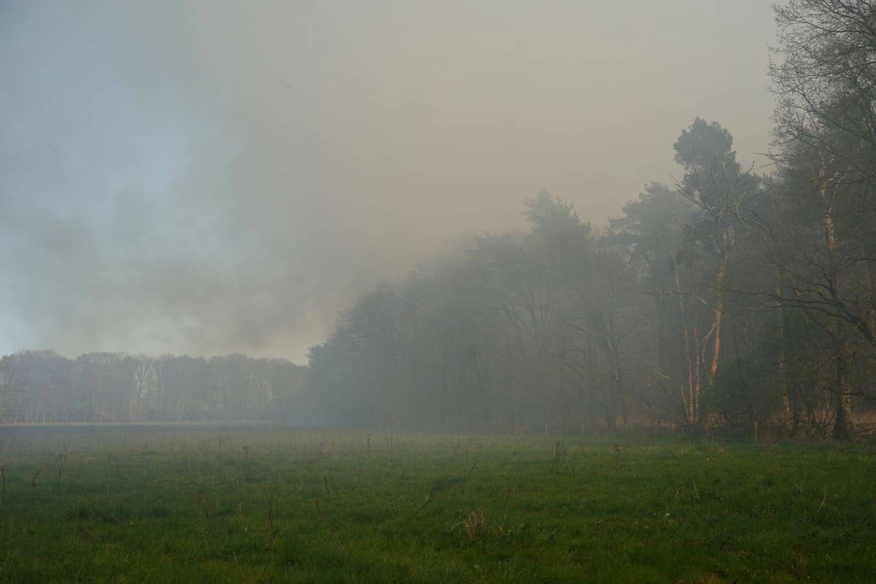 Foto: Erik Haverhals / Persbureau Heitink