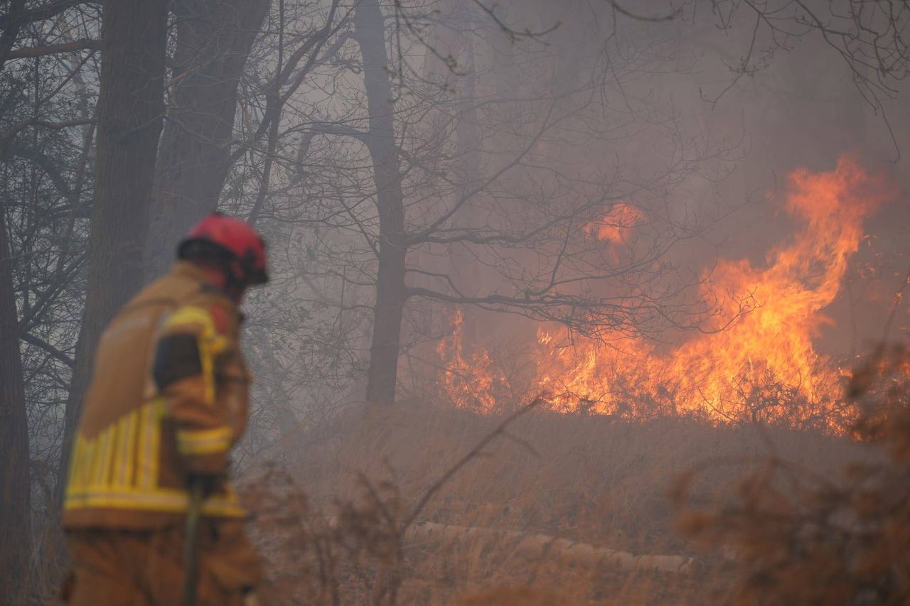 De bosbrand in Drunen (foto: Erik Haverhals/Persbureau Heitink).