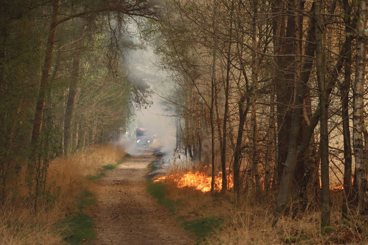 Foto: Erik Haverhals/Persbureau Heitink.